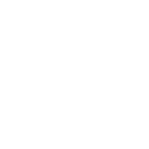 Logo Pacusoft White