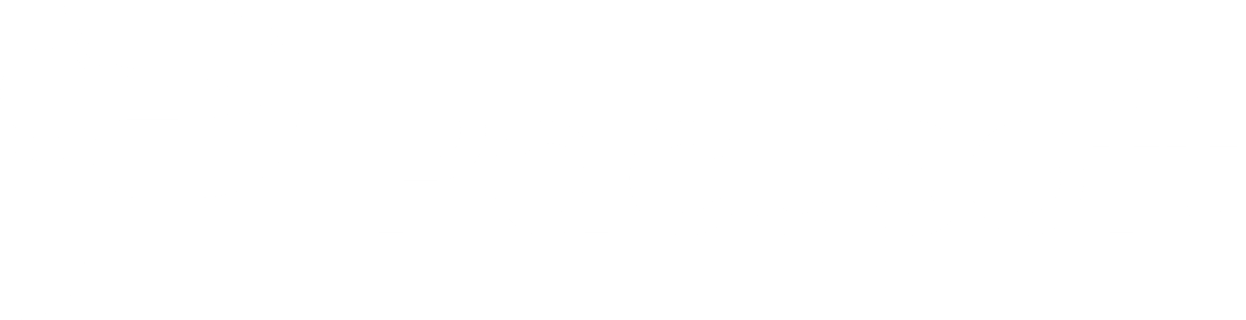 Logo Pacusoft White